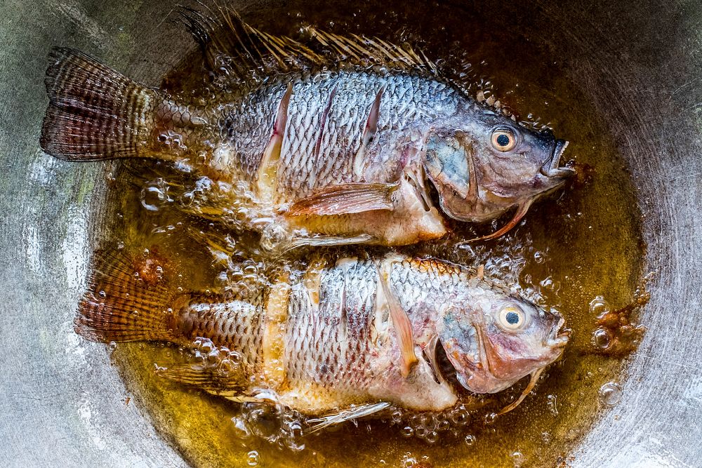 Deep frying fish in a pan. Free public domain CC0 photo.