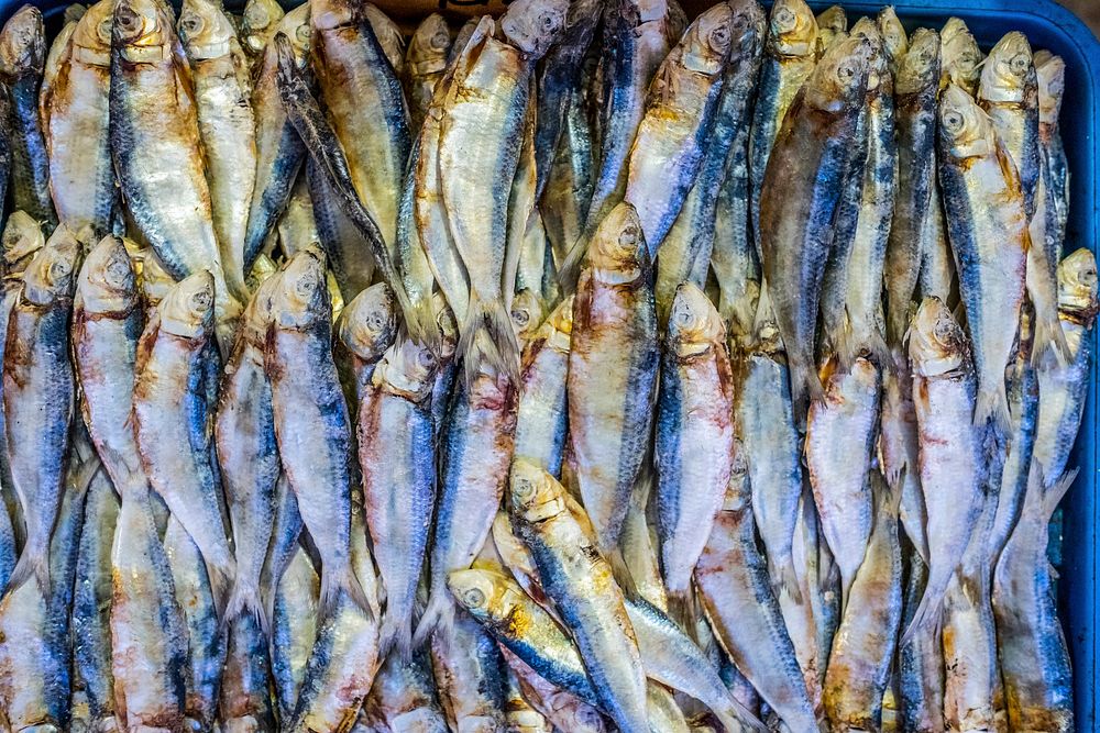 Fish in local markets. Free public domain CC0 photo.
