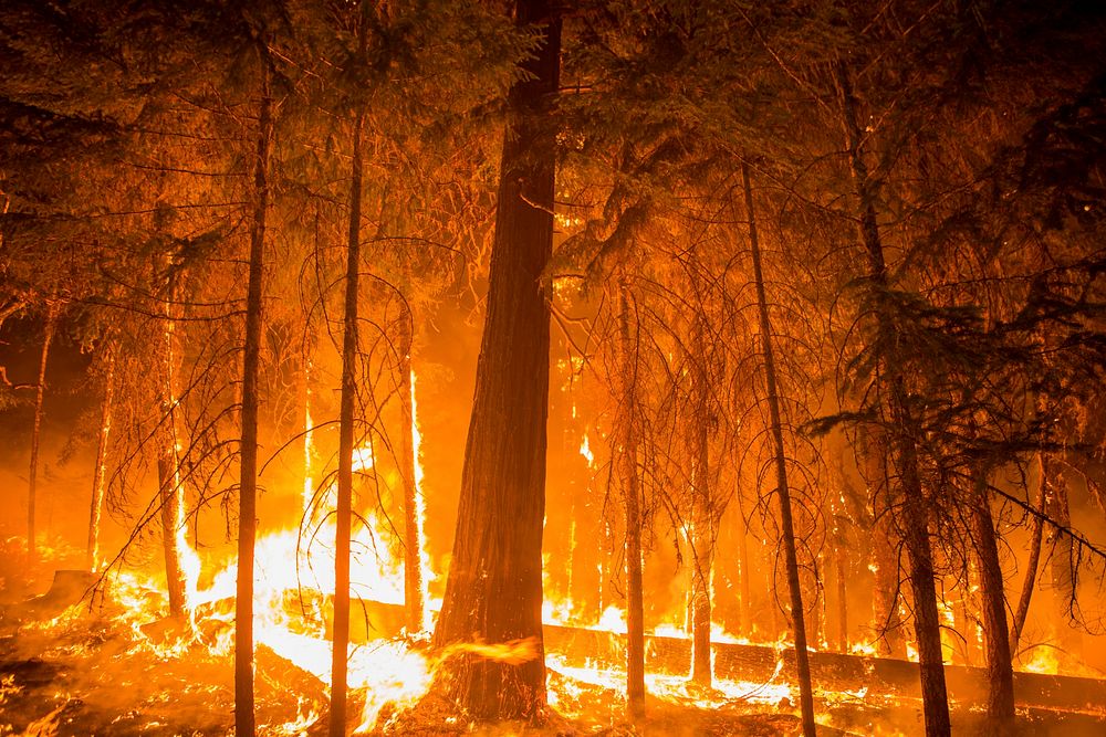 Umpqua National Forest Fires, 2017, Umpqua NF Fires, 2017, Oregon. Original public domain image from Flickr