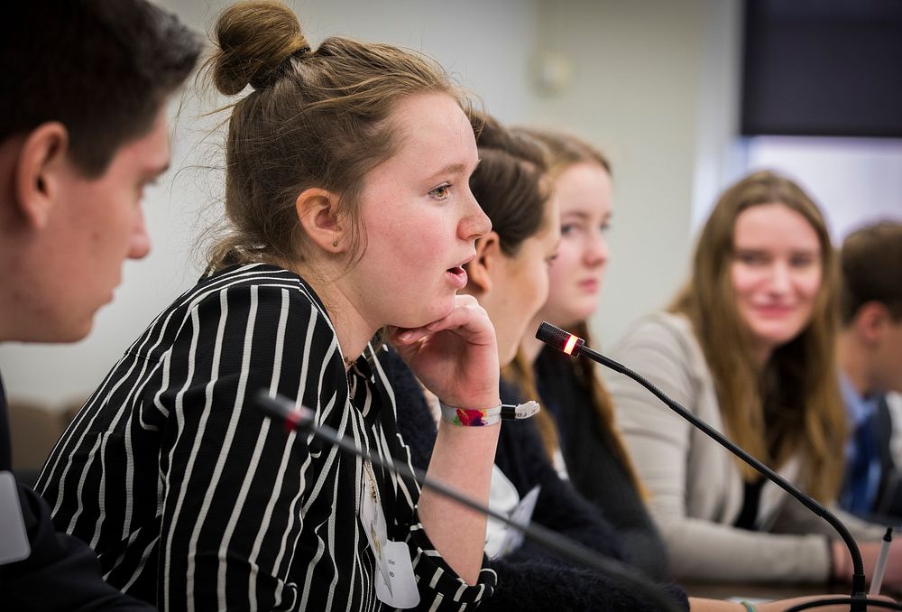 CBYX Civic Education Workshop January 2018 - German High School students participated in a U.S. Diplomacy Center simulation…