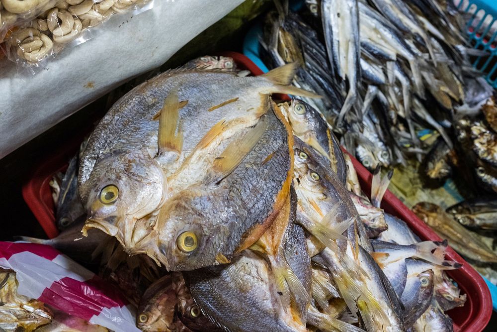 Fish, fresh market in Palawan, Philippines. Free public domain CC0 photo.