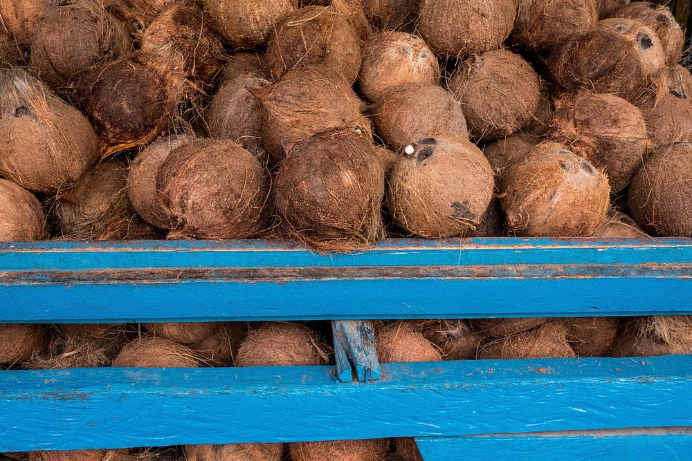 Coconut shells at a local market. Free public domain CC0 photo.