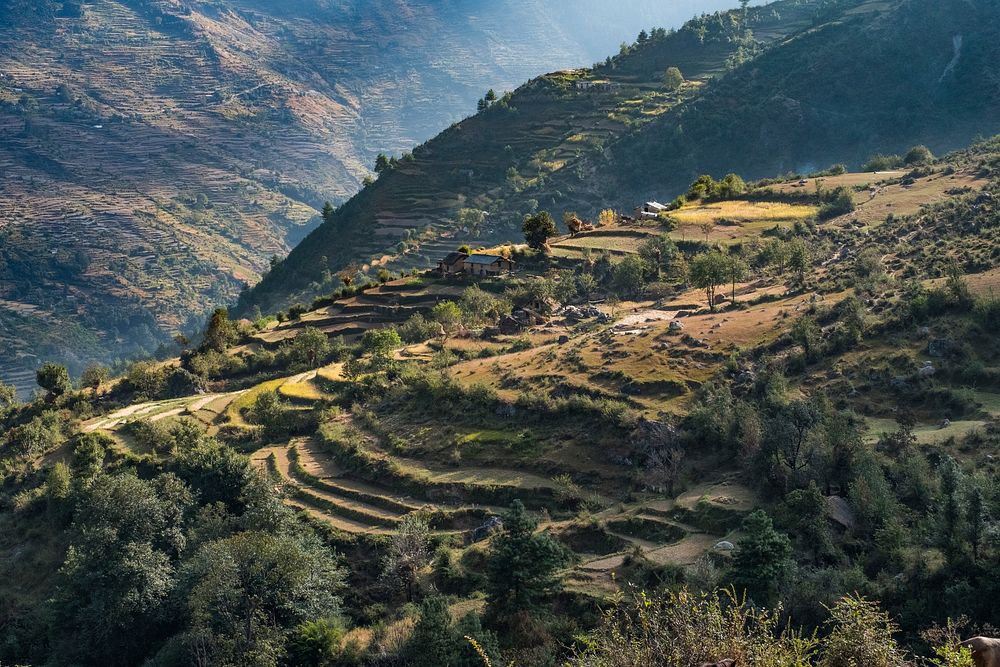Terrace farming in Nepal. Free public domain CC0 photo.