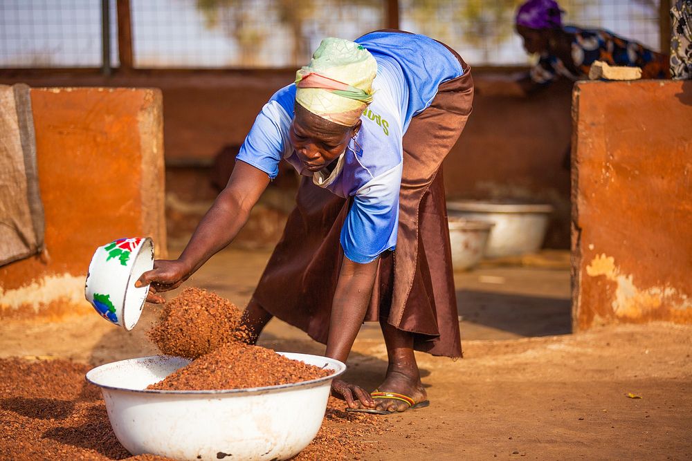 USAID in Ghana: Shea Butter Processing. USAID and the Global Shea Alliance partner to connect West Africa village women to…