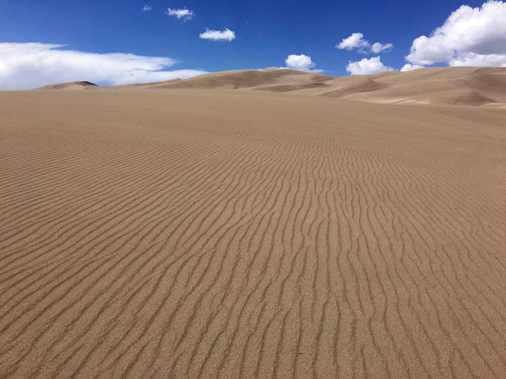 Rippled patterns shaped by wind play upon the surface of sand at Great Sand Dunes National Park. Photo by Julie West.…