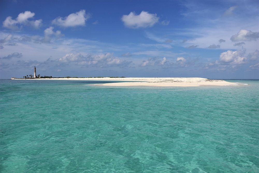 A view of Loggerhead Key, with its iconic lighthouse and white sand beaches, from Dry Tortugas National Park. Photo by Tracy…