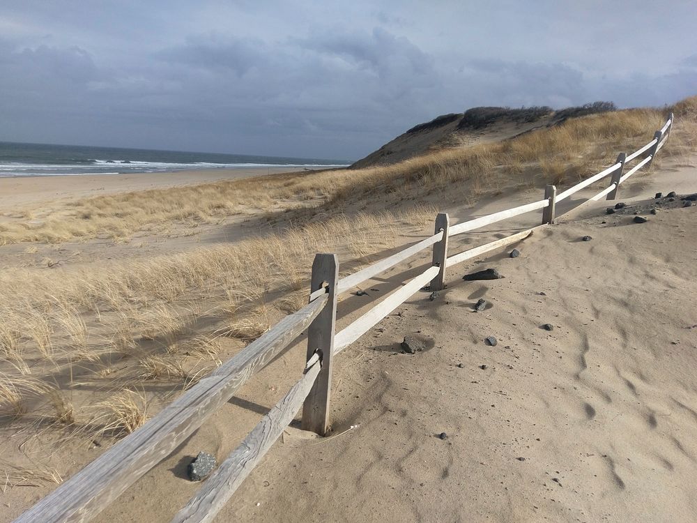 The outer beach in Wellfleet, Cape Cod National Seashore MA. Original public domain image from Flickr