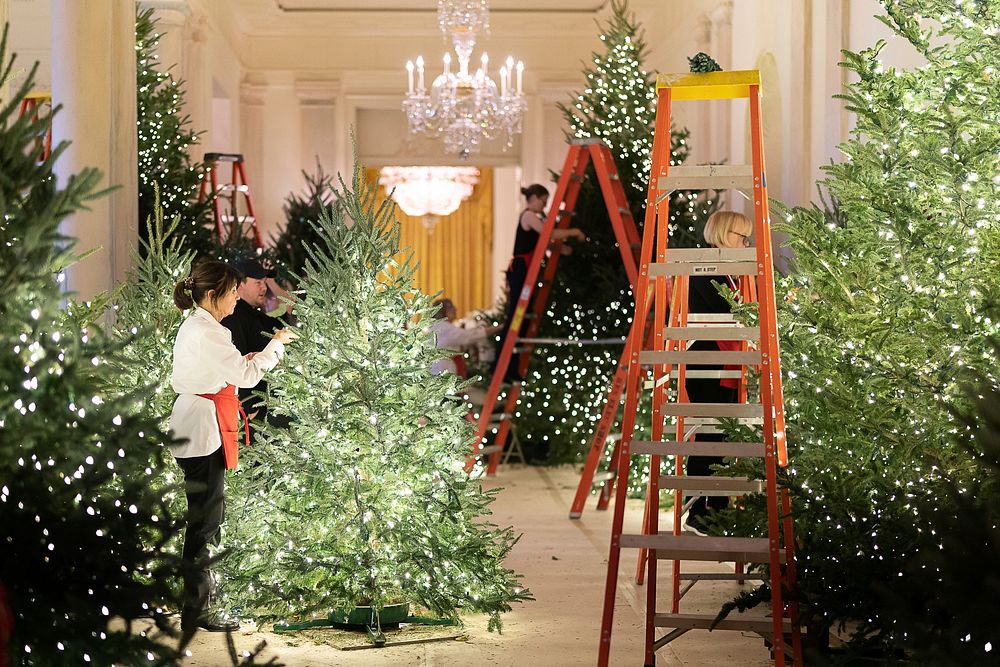 Volunteers Decorate the White House Free Photo rawpixel