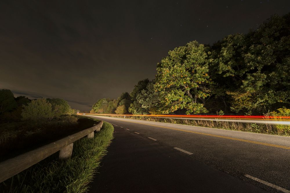 Forest road at night. Free public domain CC0 photo.