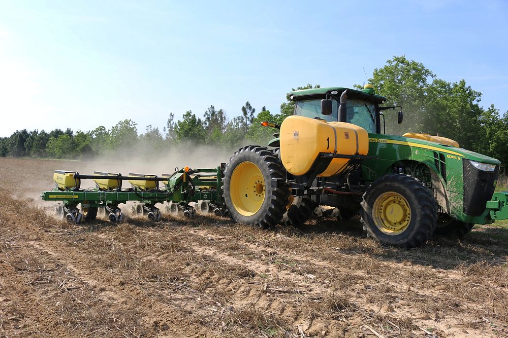 Planting Cotton in Strip-tilled Rows and into a Wheat Cover crop, Autauga County, Alabama, USA, May 10, 2017.