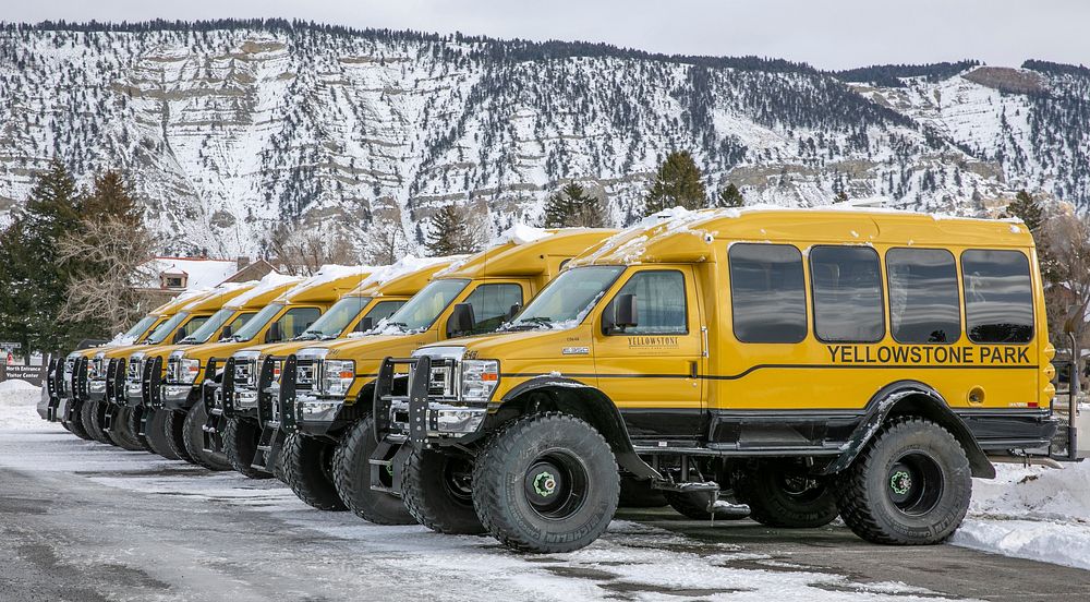 Snowcoaches at Mammoth Hot Springs by Diane Renkin. Original public domain image from Flickr
