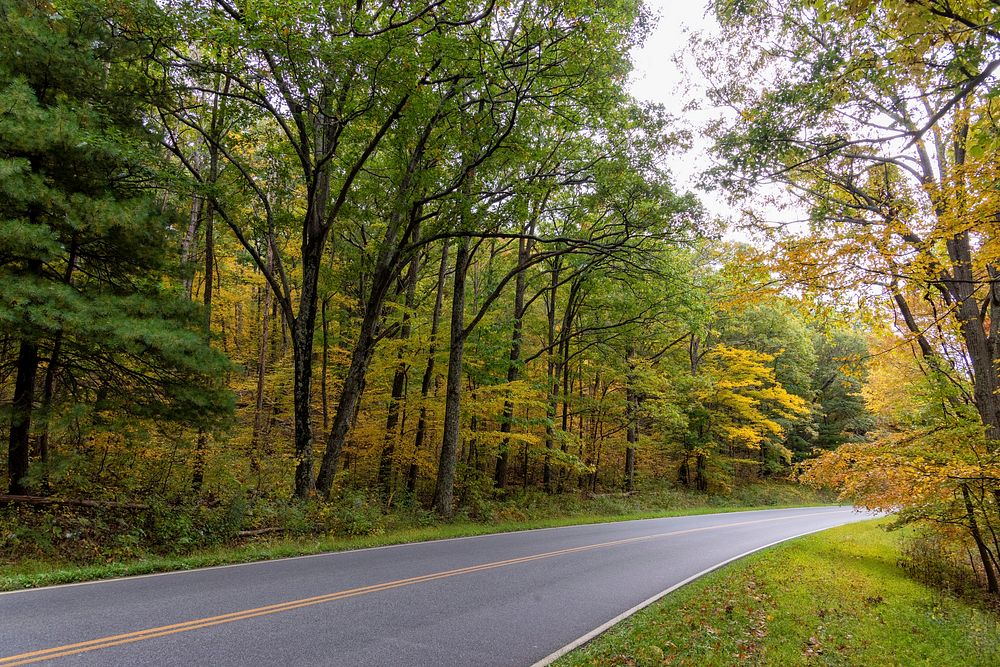 Road in autumn, fall landscape. Free public domain CC0 photo.