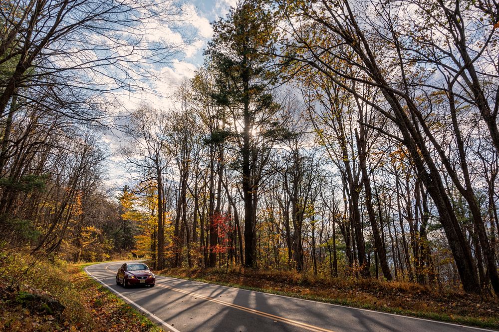 Road in autumn, fall landscape. Free public domain CC0 photo.