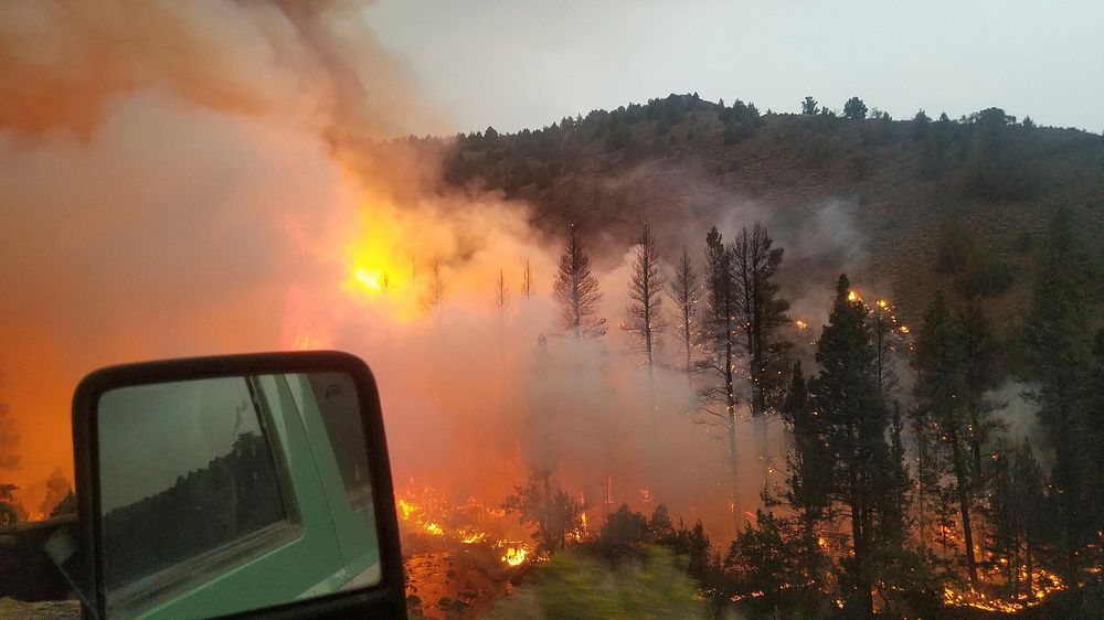 Brattain Fire, fire operations, September 2020. Original public domain image from Flickr