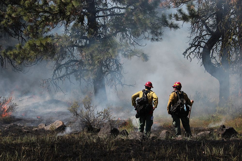 Firefighters at prescribed burn on Barlow Ranger District, Mt. Hood National Forest. Original public domain image from Flickr