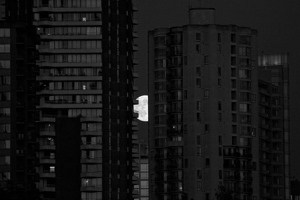 Moon behind buildings in black and white. Free public domain CC0 photo.