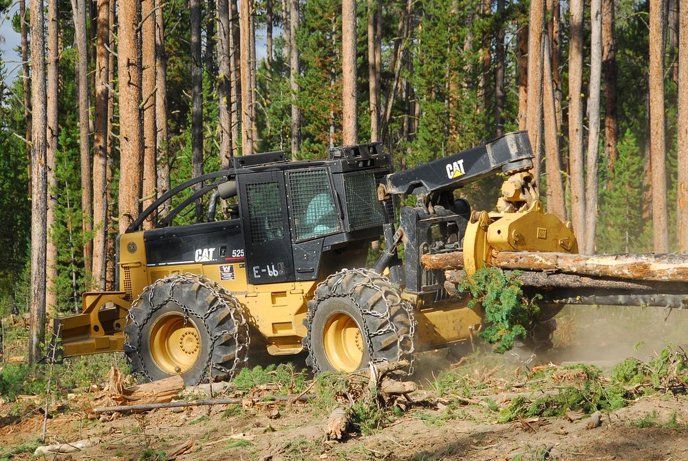 Tractor plowing the forest floor. Original public domain image from Flickr