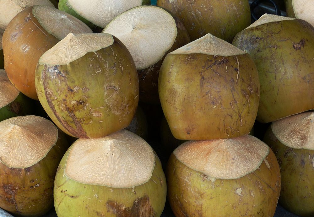 Pile of fresh coconuts. Free public domain CC0 image. 