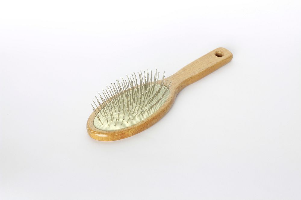 Hairbrush isolated on white background. Free public domain CC0 image.