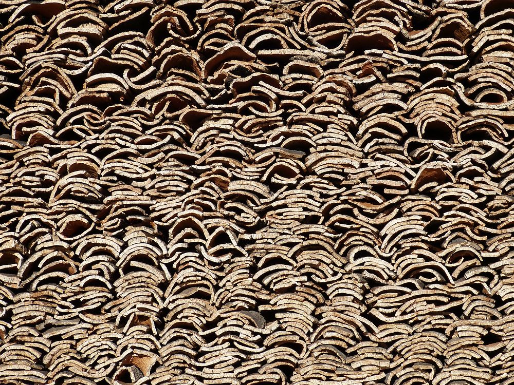 Wood cuttings pattern. Free public domain CC0 photo.