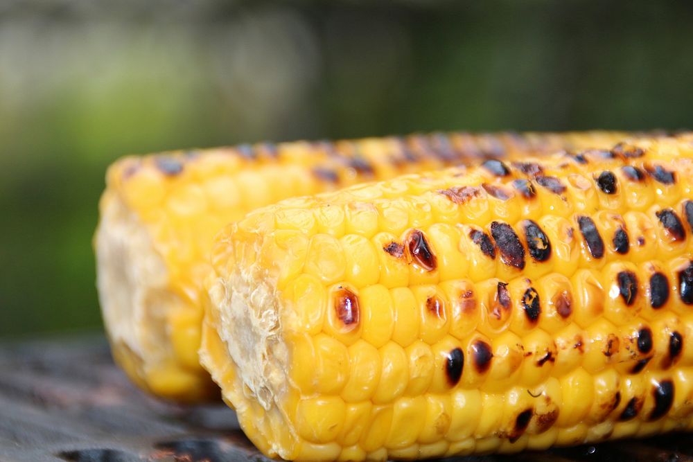 Yellow corn, agricultural produce. Free public domain CC0 image