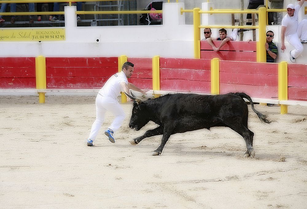 Bullfighting, Location unknown, June 1, 2016.