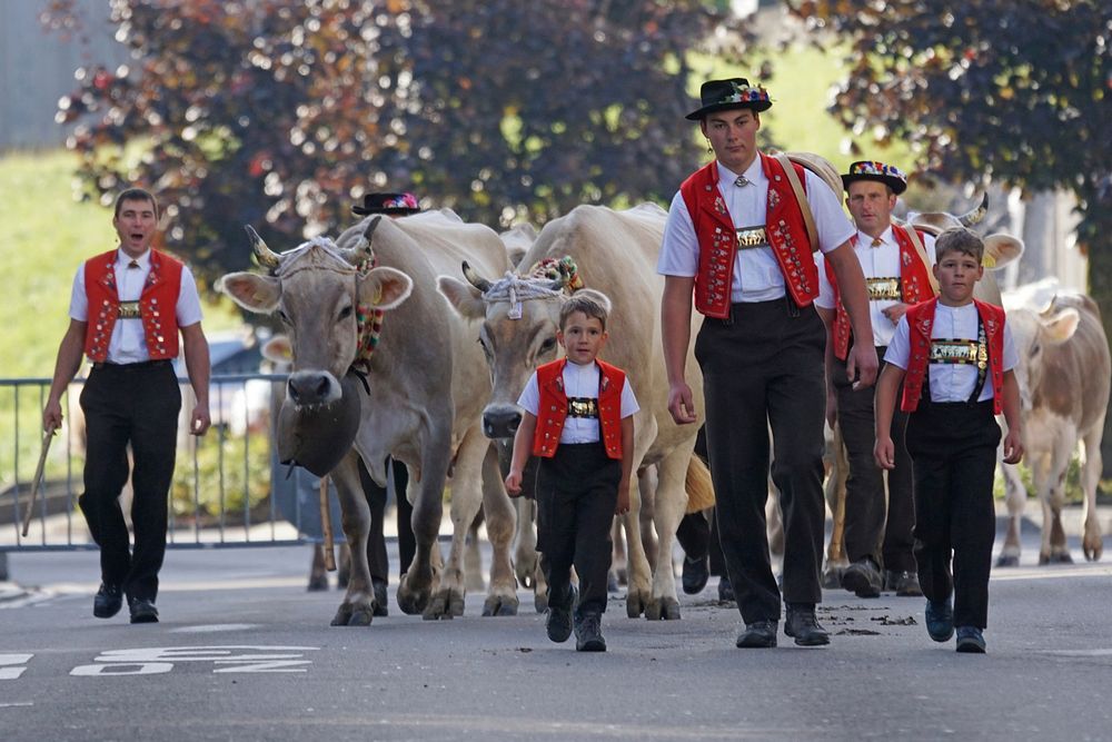 Cattle show, Appenzell village, Switzerland - 4 October 2016