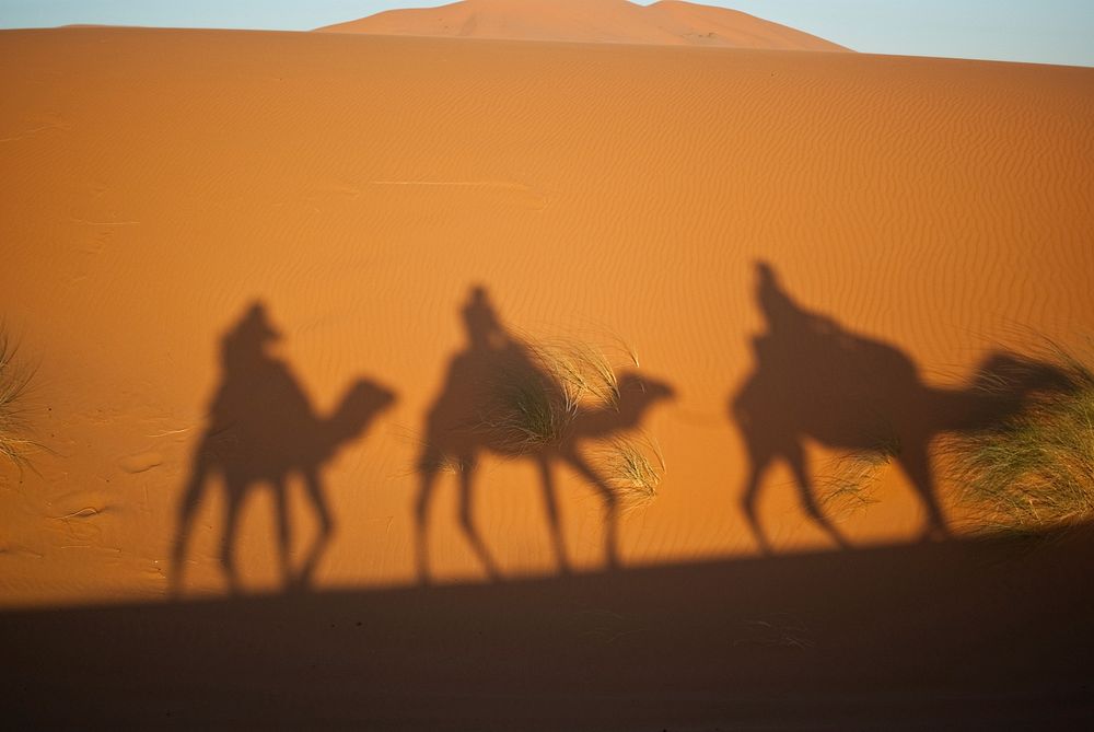 Camel shadow in desert. Free public domain CC0 photo.