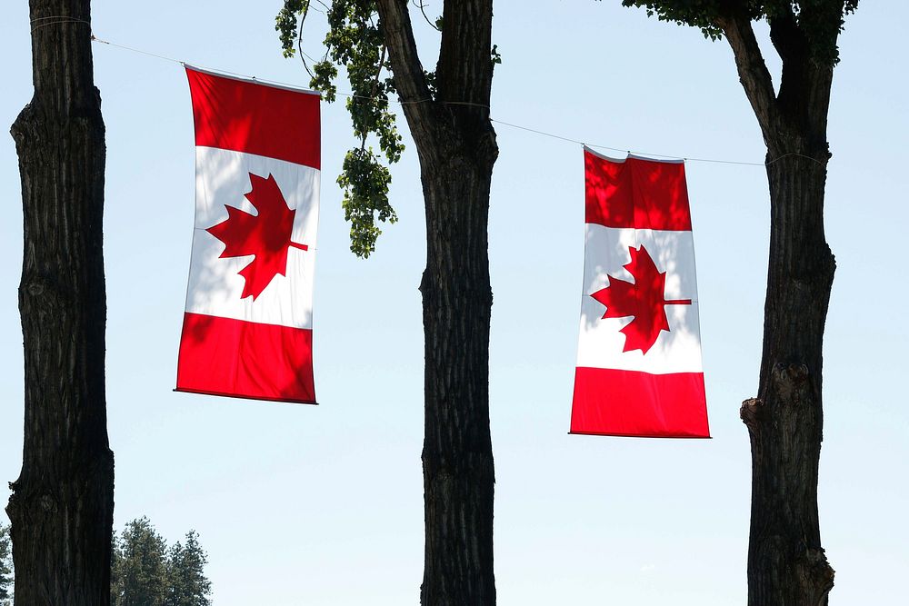 Canada flags hanging on tree. Free public domain CC0 photo.