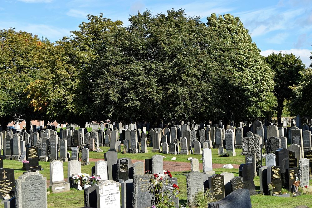 Graveyard with headstones. Free public domain CC0 photo.