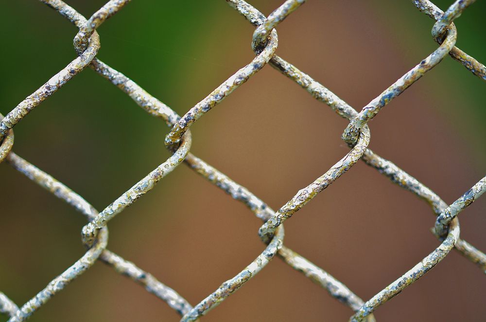 Chain link fence. Free public domain CC0 photo.