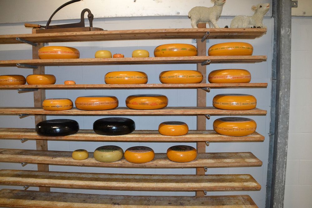 Whole cheeses on rack. Free public domain CC0 image.