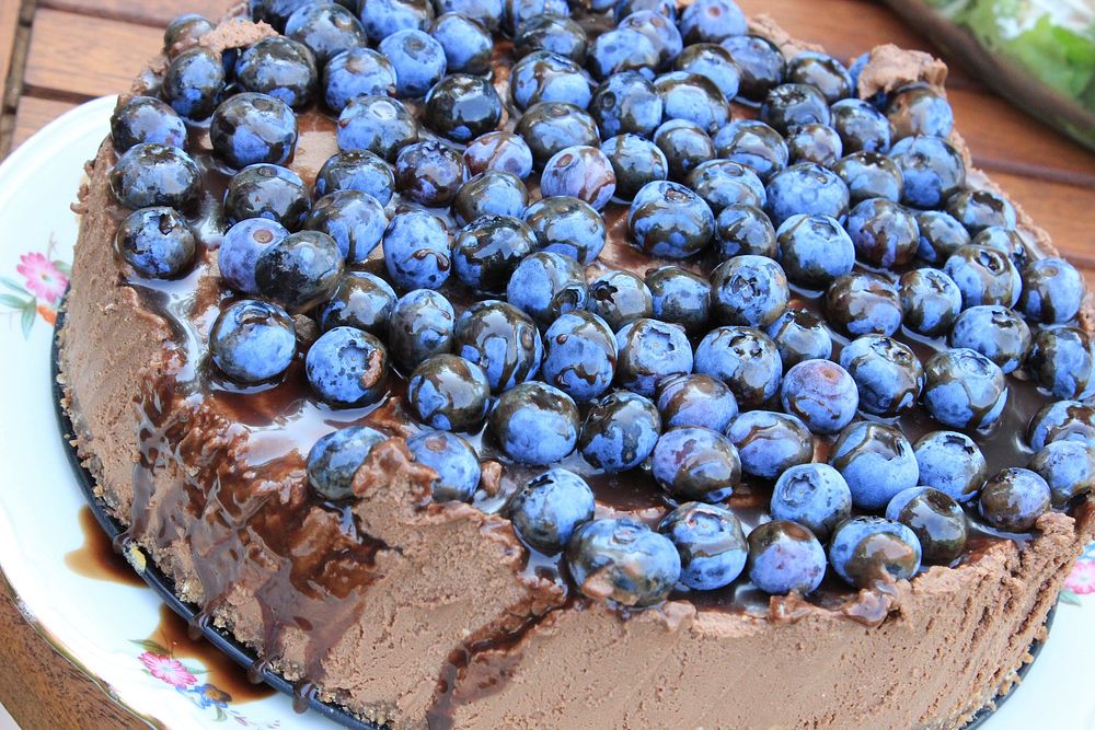 Chocolate cheesecake with blueberry on top. Free public domain CC0 photo.
