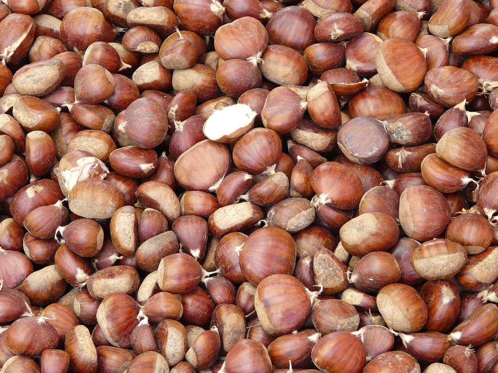 Sweet chestnuts background. Free public domain CC0 photo.
