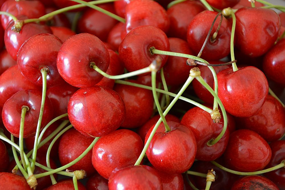 Closeup on pile of red cherries. Free public domain CC0 image. 