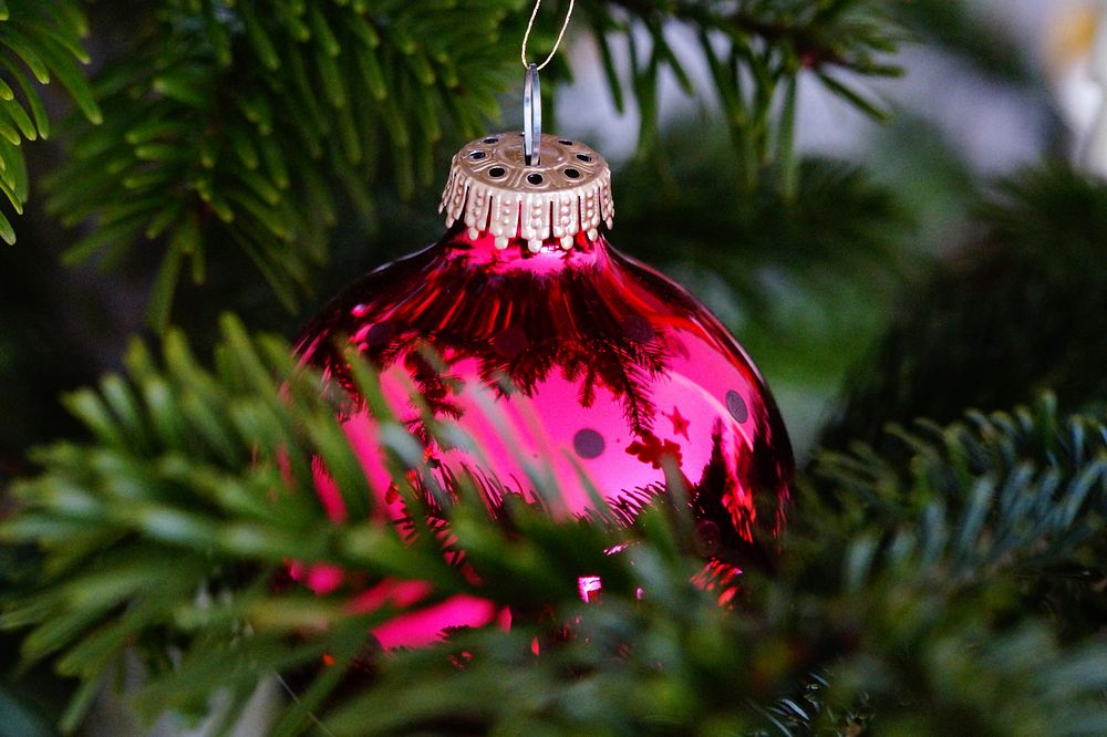 Close up on red Christmas tree ornament. Free public domain CC0 photo.