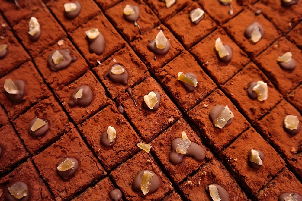 Chocolate cake with cocoa powder on top. Free public domain CC0 photo.