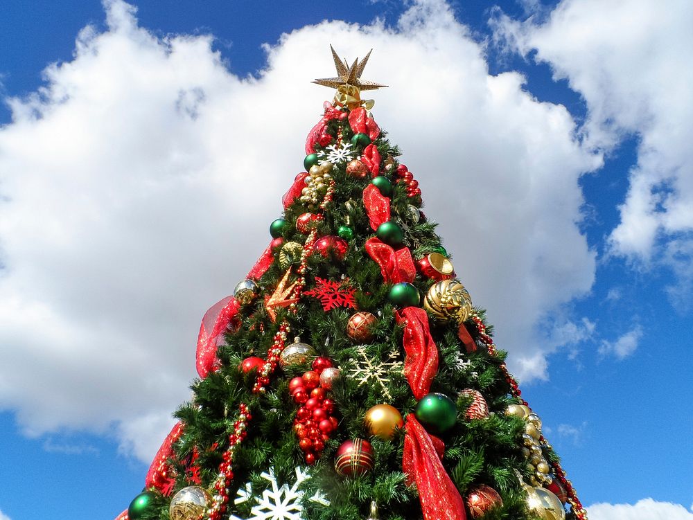 Decorated Christmas tree during daytime. Free public domain CC0 photo.
