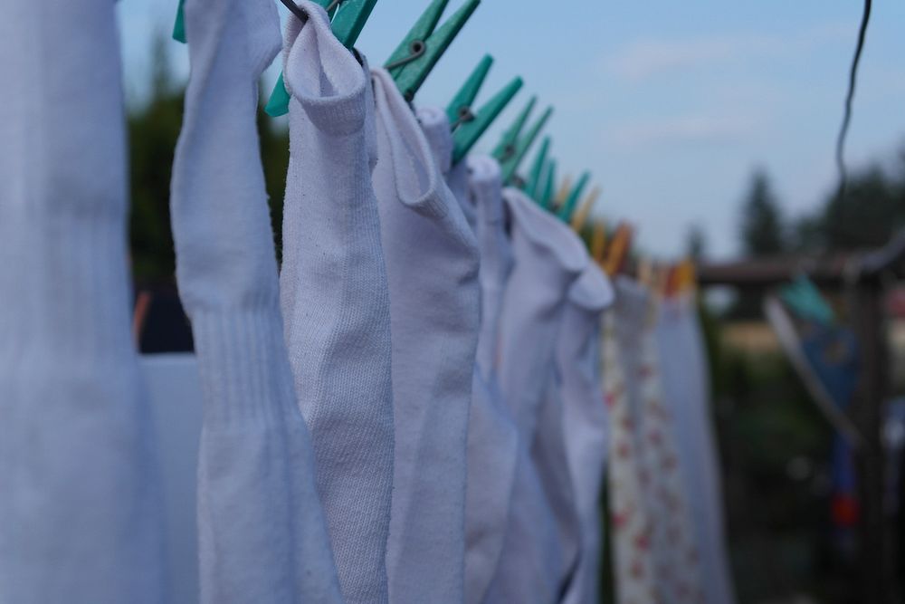 Clothing on clothesline in garden. Free public domain CC0 image.