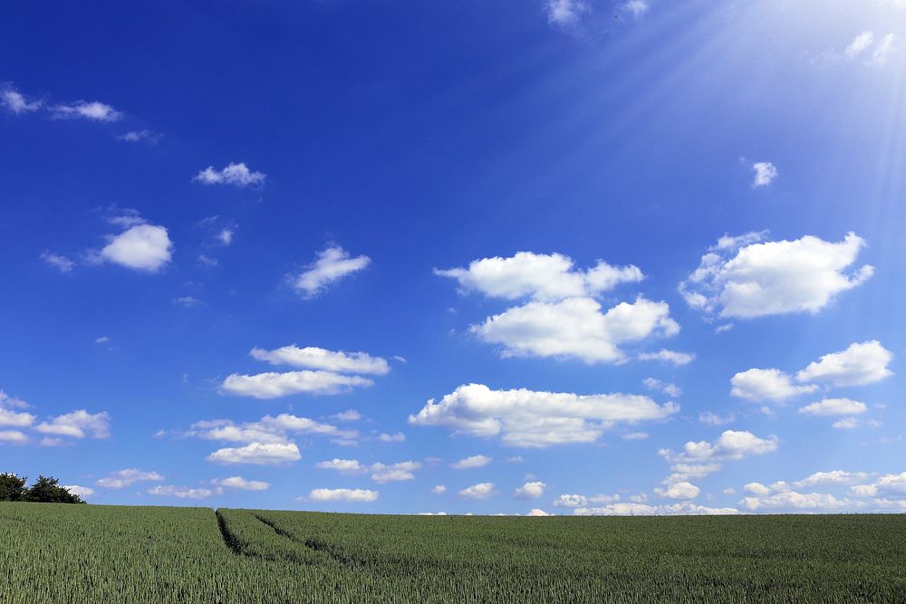 Blue sky over farm. Free public domain CC0 photo.
