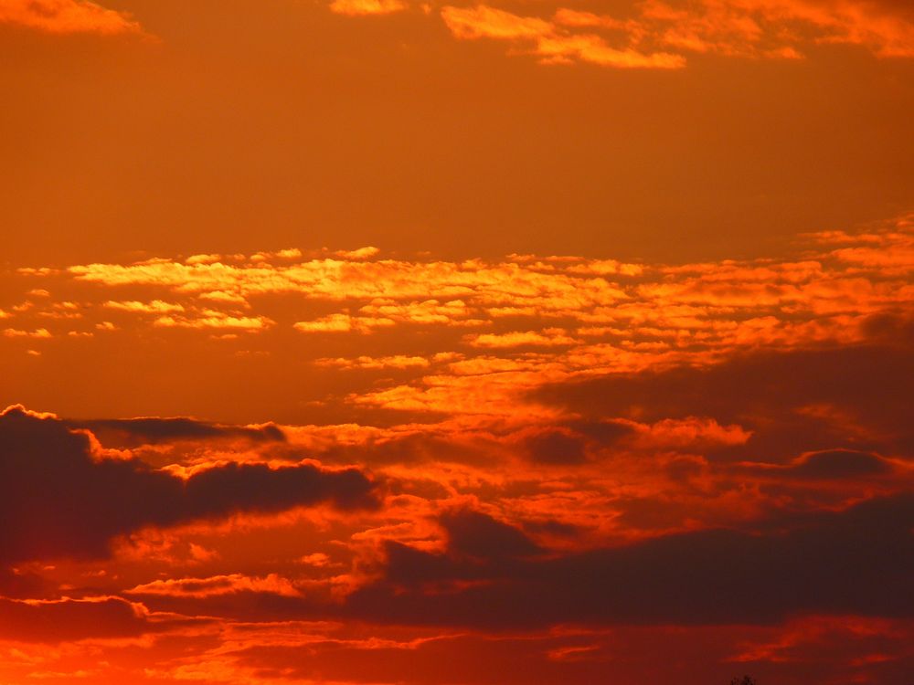 Evening sky background. Free public domain CC0 image.