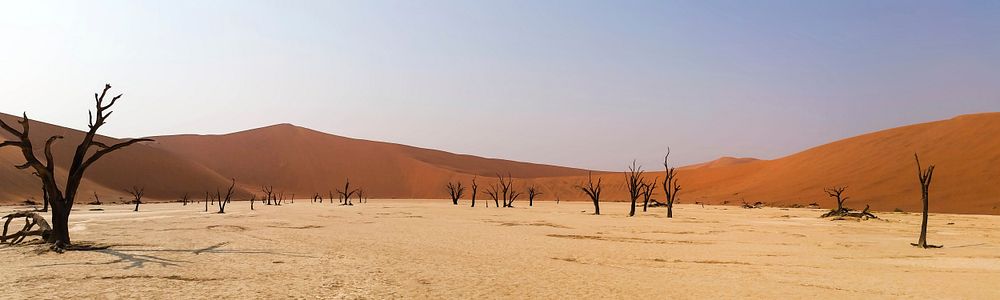Namibia desert. Free public domain CC0 photo.