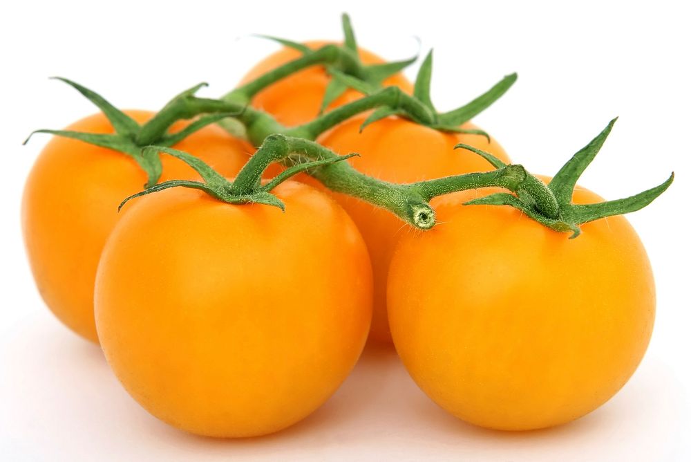 Closeup on yellow tomato bunch on white background. Free public domain CC0 image.