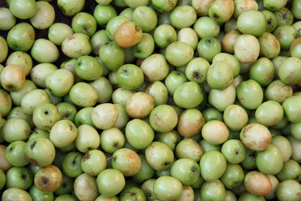Pile of green apples. Free public domain CC0 photo.