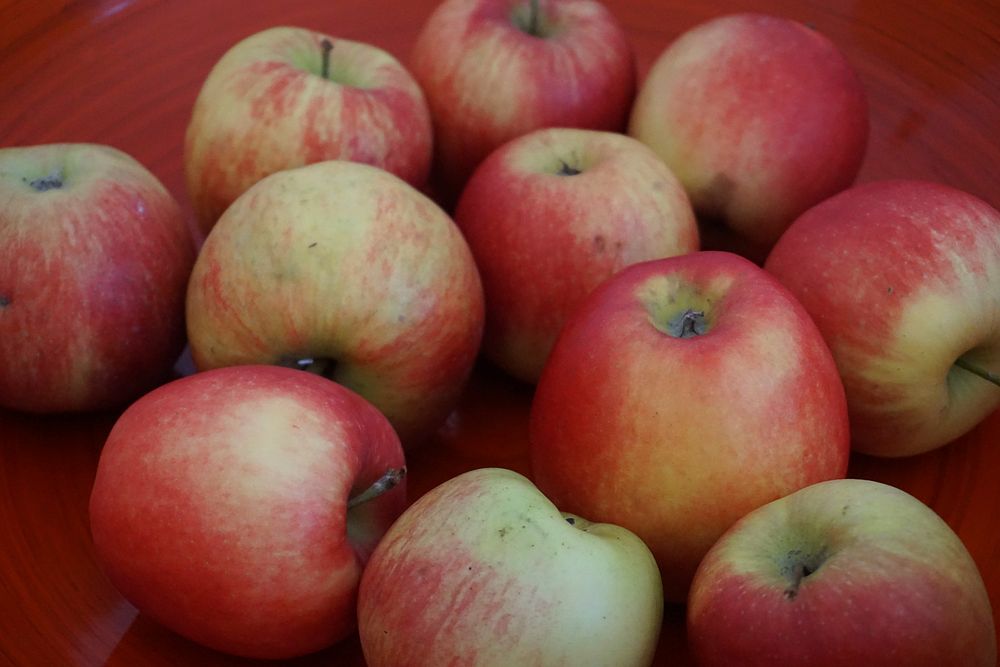 Closeup on red apples in bowl. Free public domain CC0 photo.