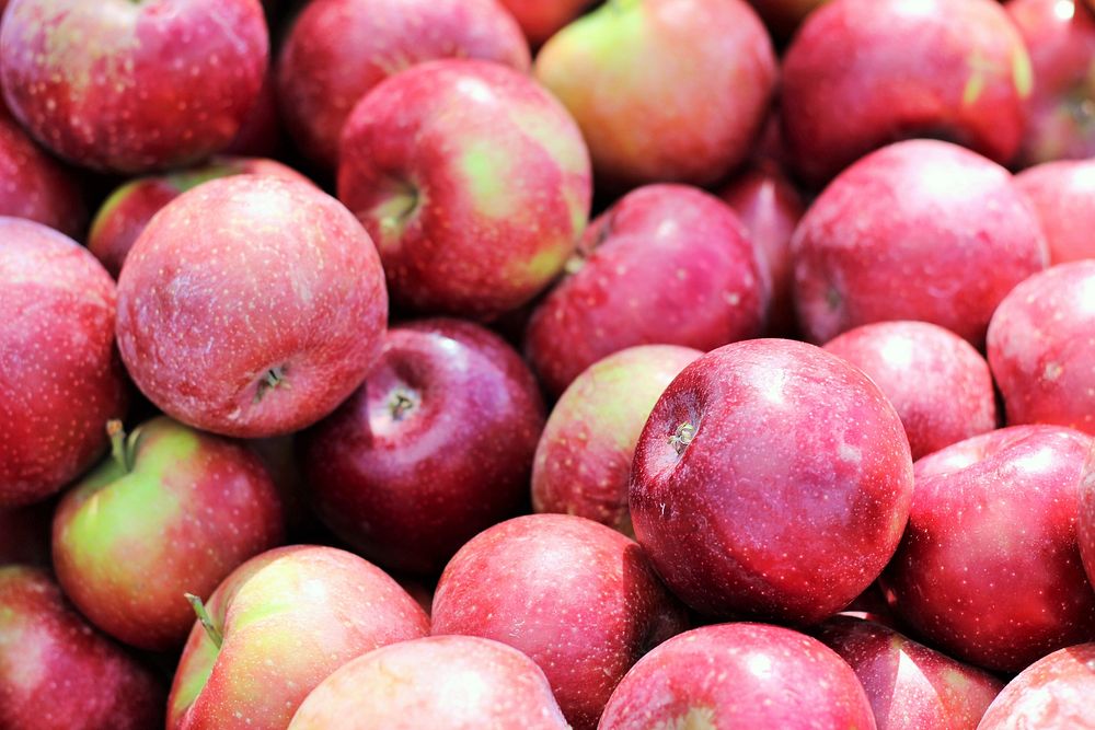 Closeup on pile of red apples. Free public domain CC0 photo.