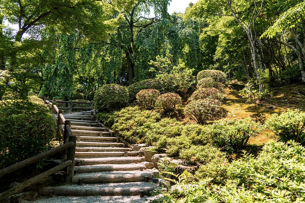 Japanese garden. Free public domain CC0 photo.