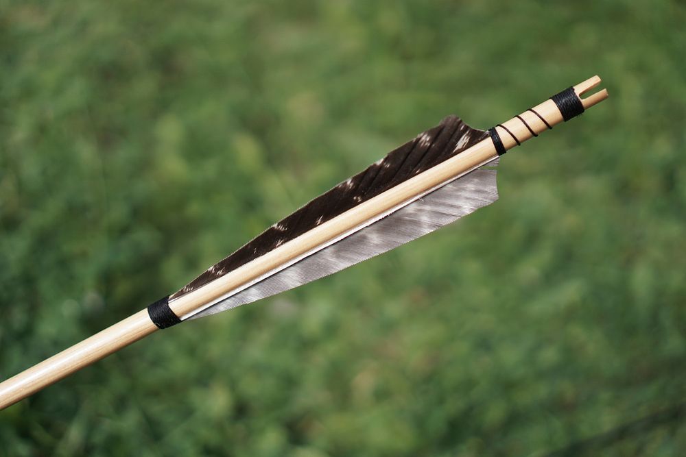 Closeup of an archery arrow on grass. Free public domain CC0 photo.