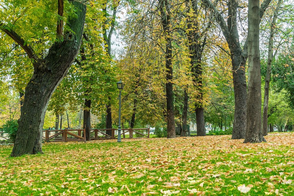 Park in fall season. Free public domain CC0 photo.