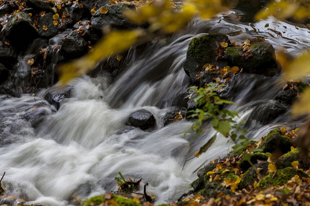 Waterfall stream during autumn. Free public domain CC0 image.